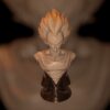 Majin Vegeta - Lucas Perez Studio